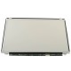 Display Laptop Asus F550LC cu pixel mort