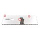 Tastatura Laptop Lenovo V-117020CS1-US